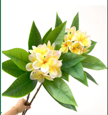 Simulated Oleander flowers